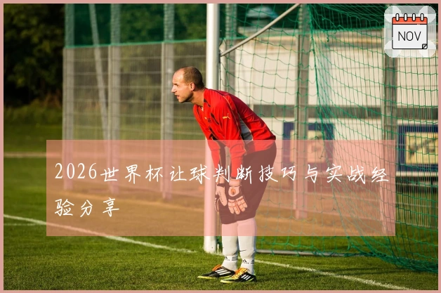 2026世界杯让球判断技巧与实战经验分享