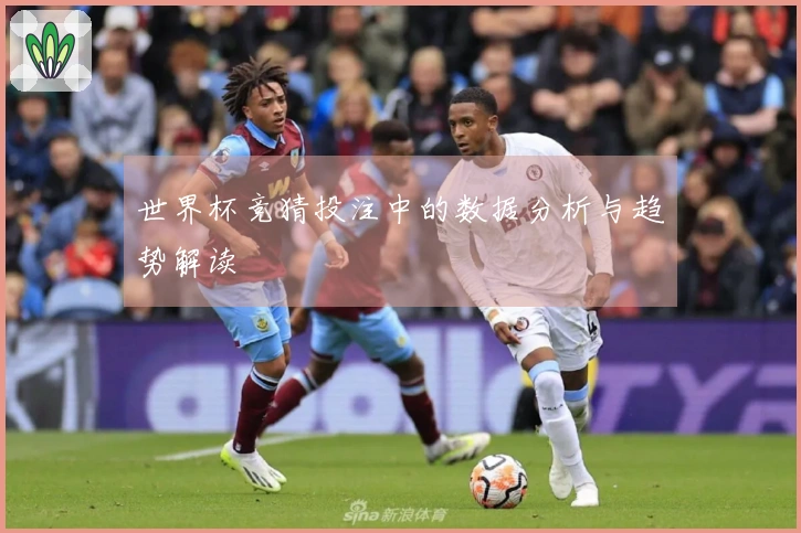 世界杯竞猜投注中的数据分析与趋势解读