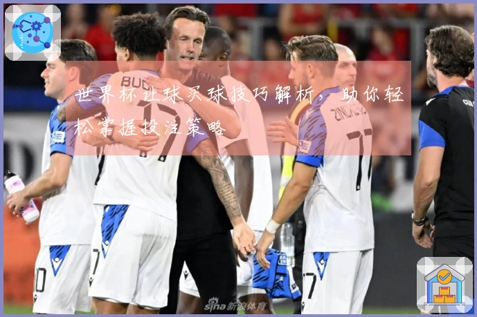 世界杯让球买球技巧解析，助你轻松掌握投注策略