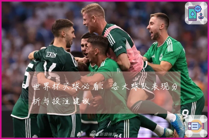 世界杯买球必看：各大球队表现分析与投注建议